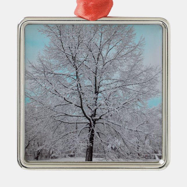 The Winter Oak Ornament (Front)