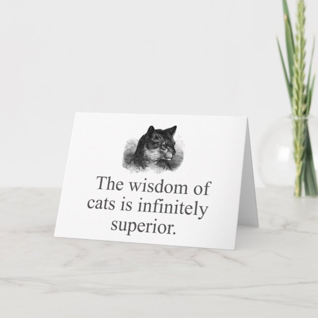 The Wisdom Of Cats  Card (Front)