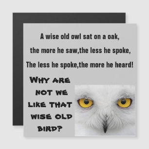 THE WISE OLD OWL magnet