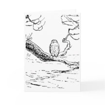 The Wise Old Owl on a Branch 