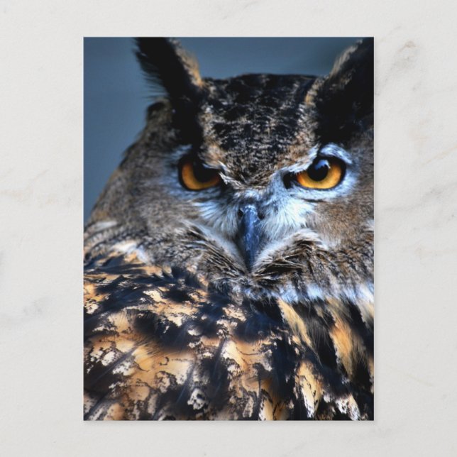 The Wise One Postcard (Front)