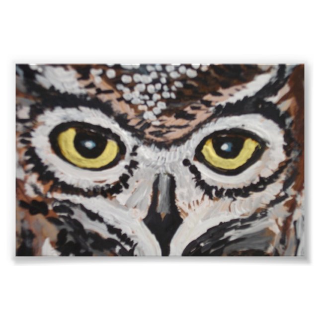 The wise owl photo print (Front)