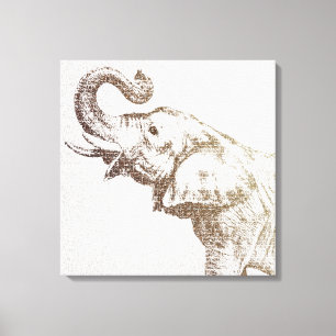 The Wisest Elephant Canvas Print