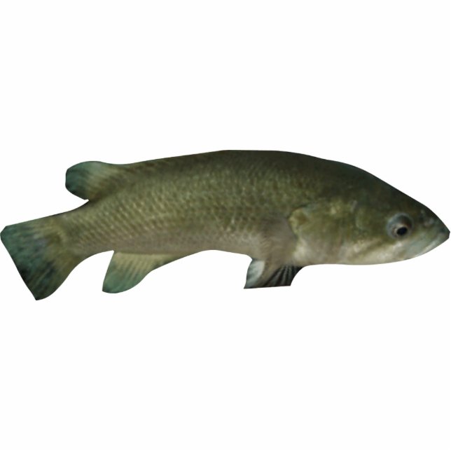 The Wish Fish Family - Harold Photo Sculpture Keyc (Front)