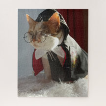 The Wizard Cat Puzzle