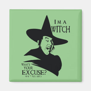 The Wizard Of Oz™   I'm A Witch Magnet