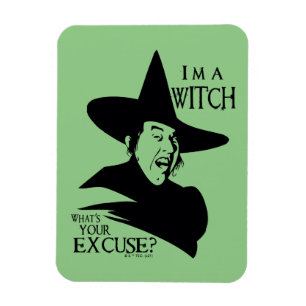 The Wizard Of Oz™   I'm A Witch Magnet