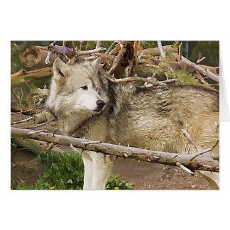 The Wolf
