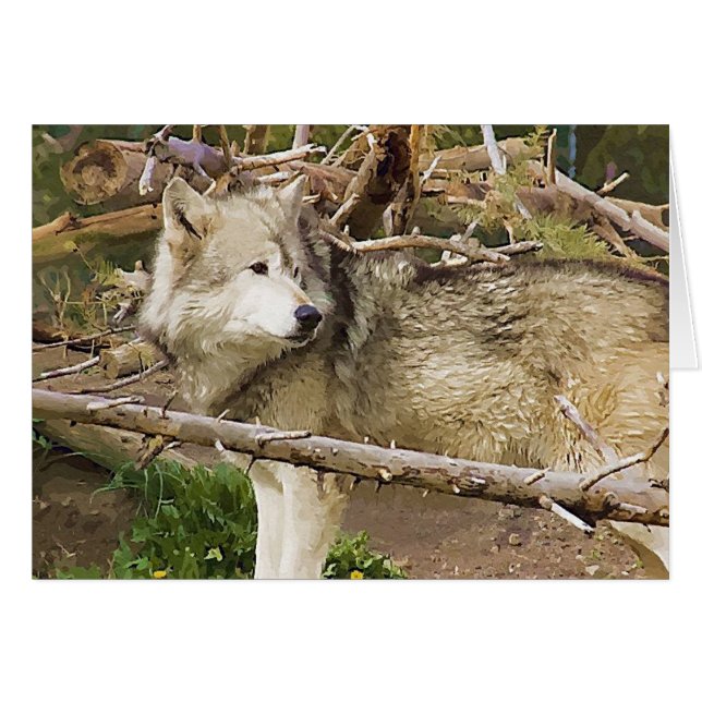 The Wolf (Front Horizontal)