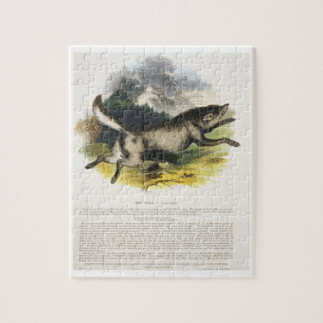 The Wolf (Canis lupus) educational illustration pu Jigsaw Puzzle (Vertical)