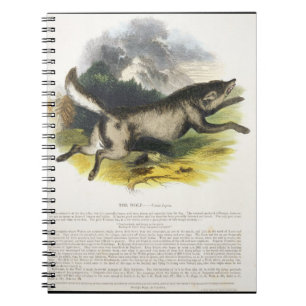 The Wolf (Canis lupus) educational illustration pu Notebook