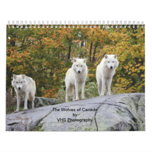 The Wolves of Canada (Calendar) Calendar