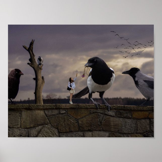 The woman and the birds poster (Front)