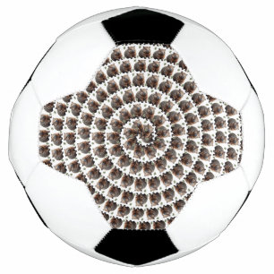 The Wombat Whirl: A Spiral of Wonder, Football