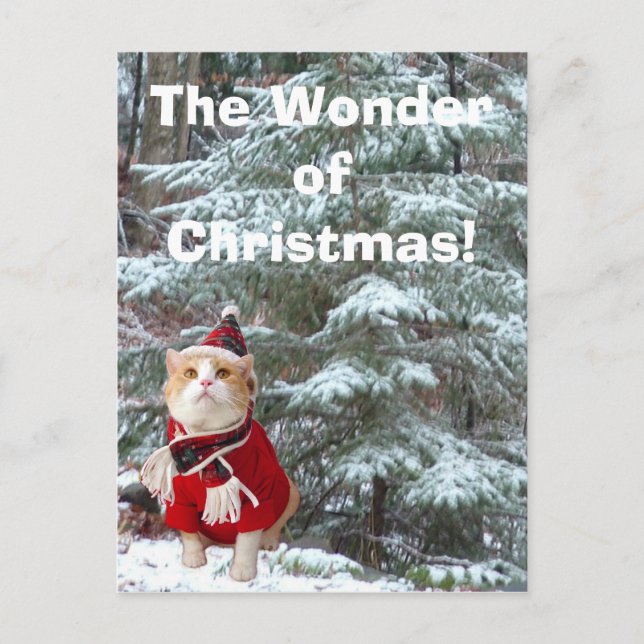 The Wonder of Christmas! Holiday Postcard (Front)