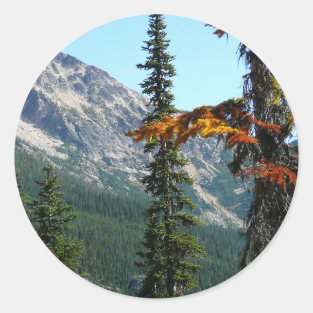 The Wonder of Nature Classic Round Sticker (Front)