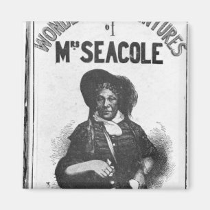 The Wonderful Adventures of Mrs Seacole' Magnet