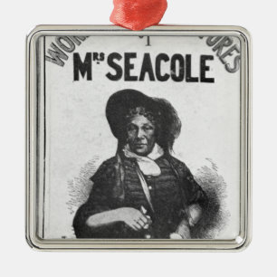 The Wonderful Adventures of Mrs Seacole' Metal Tree Decoration