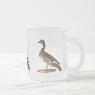 The Wood Duck	(Anas sponsa) Frosted Glass Coffee Mug
