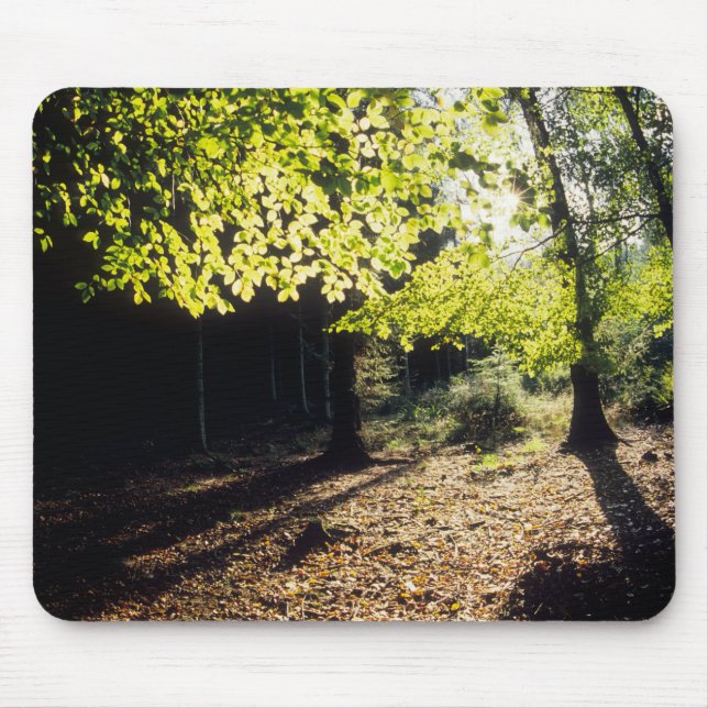 The Woods in Spring Mouse Mat (Front)