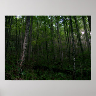 The Woods Poster