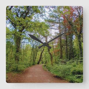 The woods  square wall clock