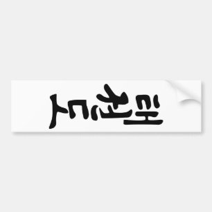 The Word Taekwondo In Korean Lettering Bumper Sticker
