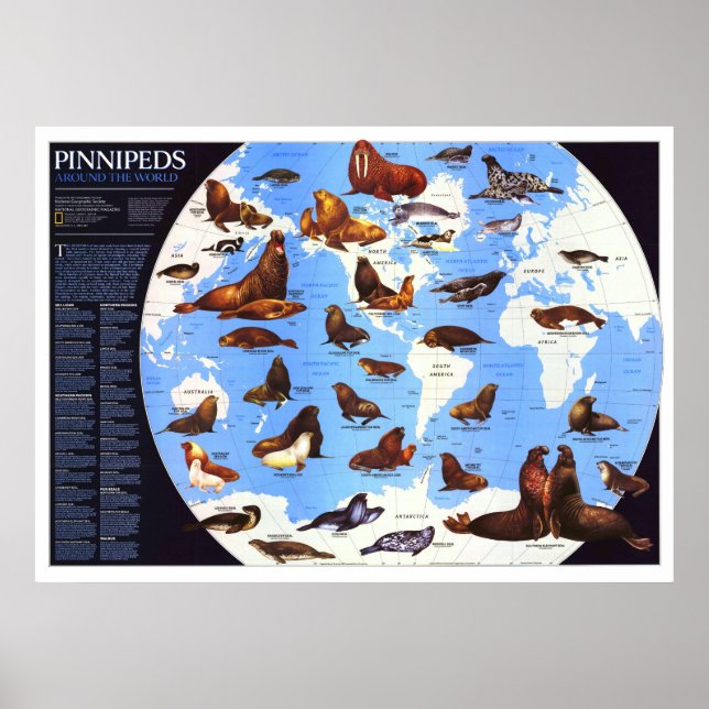 " The World: 1987 Pinniped around the World ... Poster (Front)