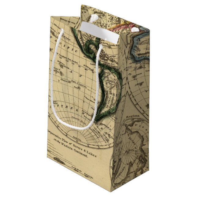 The World 3 2 Small Gift Bag (Back Angled)