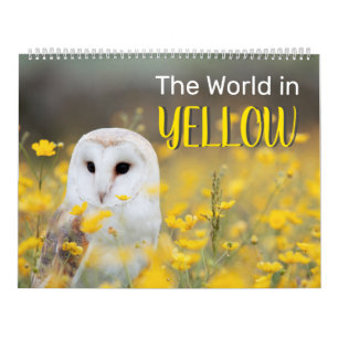 The World in YELLOW, 2025 Two Page Large Calendar
