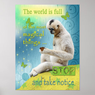The World is Full of Magic Poster