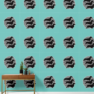 The World Of 3 different Dachshunds 2 Wallpaper