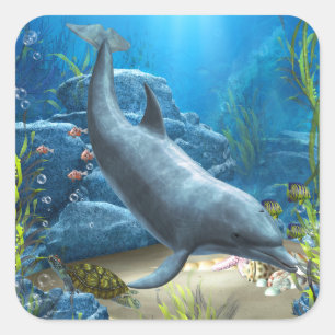 The world of the Dolphin Sticker