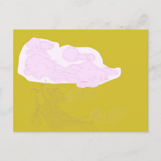 The World Upside Down Postcard