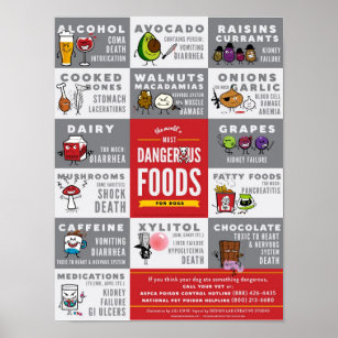 The World's Most Dangerous Foods For Dogs Poster