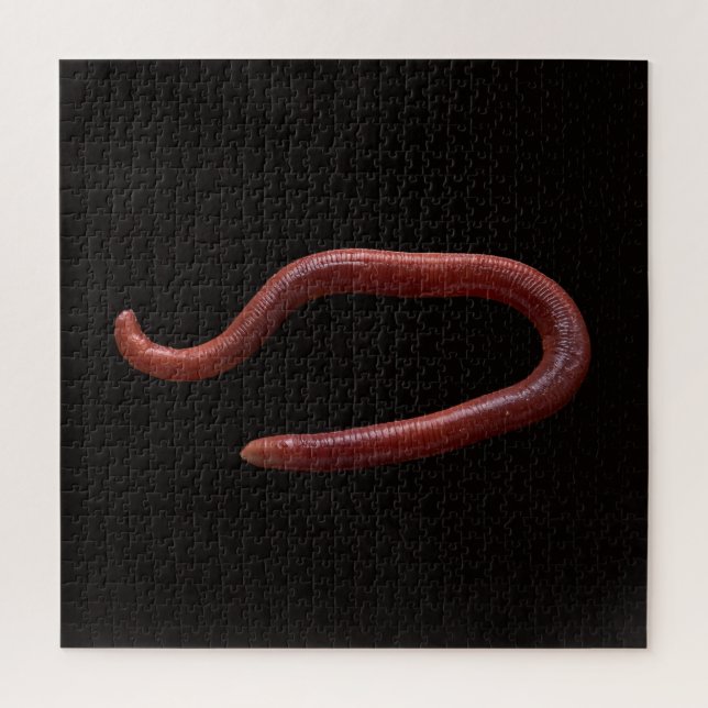     The Worm Collection  Jigsaw Puzzle (Vertical)
