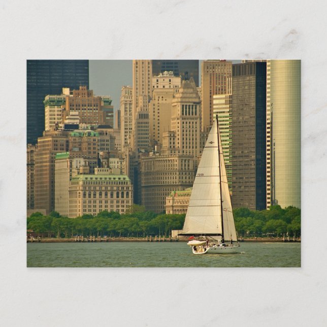 The Yacht! Postcard (Front)