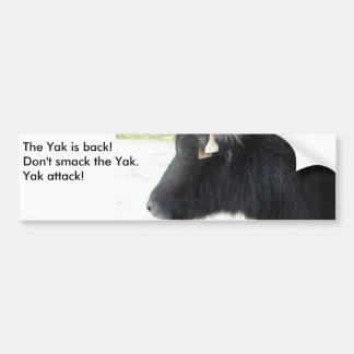 The yak is back! bumper sticker