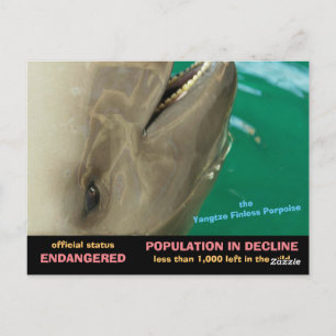The Yangtze Finless Porpoise is endangered, see Postcard