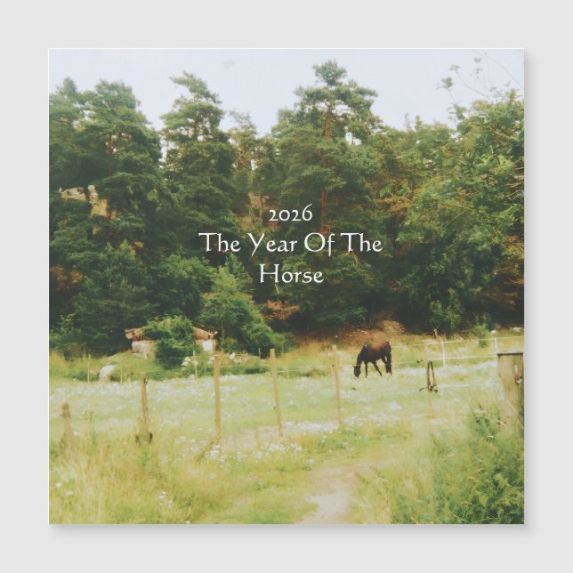 The Year Of The Horse, 2026,  (Front)