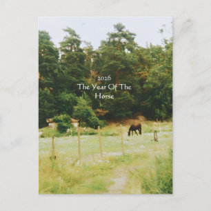 The Year Of The Horse, 2026, Postcard