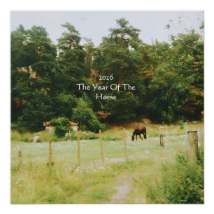 The Year Of The Horse, 2026,  Poster