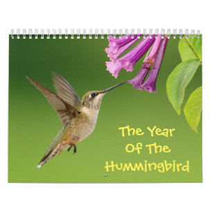 The Year Of The Hummingbird Calendar