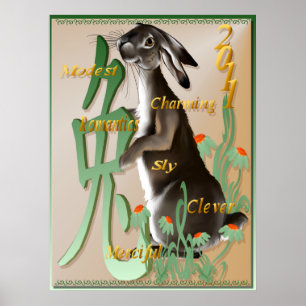 The Year Of The Rabbit Poster
