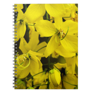 The yellow of laburnum flowers notebook