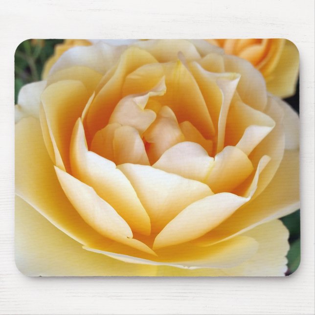 The Yellow Rose Mouse Mat (Front)