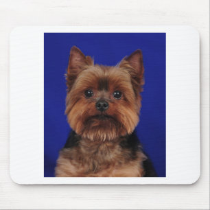The Yorkie Mouse Mat