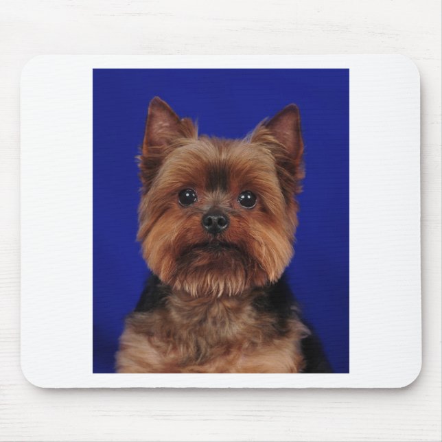 The Yorkie Mouse Mat (Front)