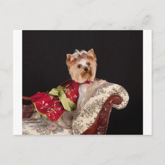 The Yorkie Queen Postcard