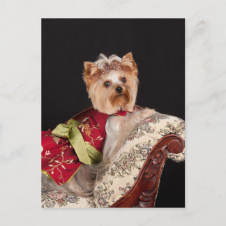 The Yorkie Queen Postcard